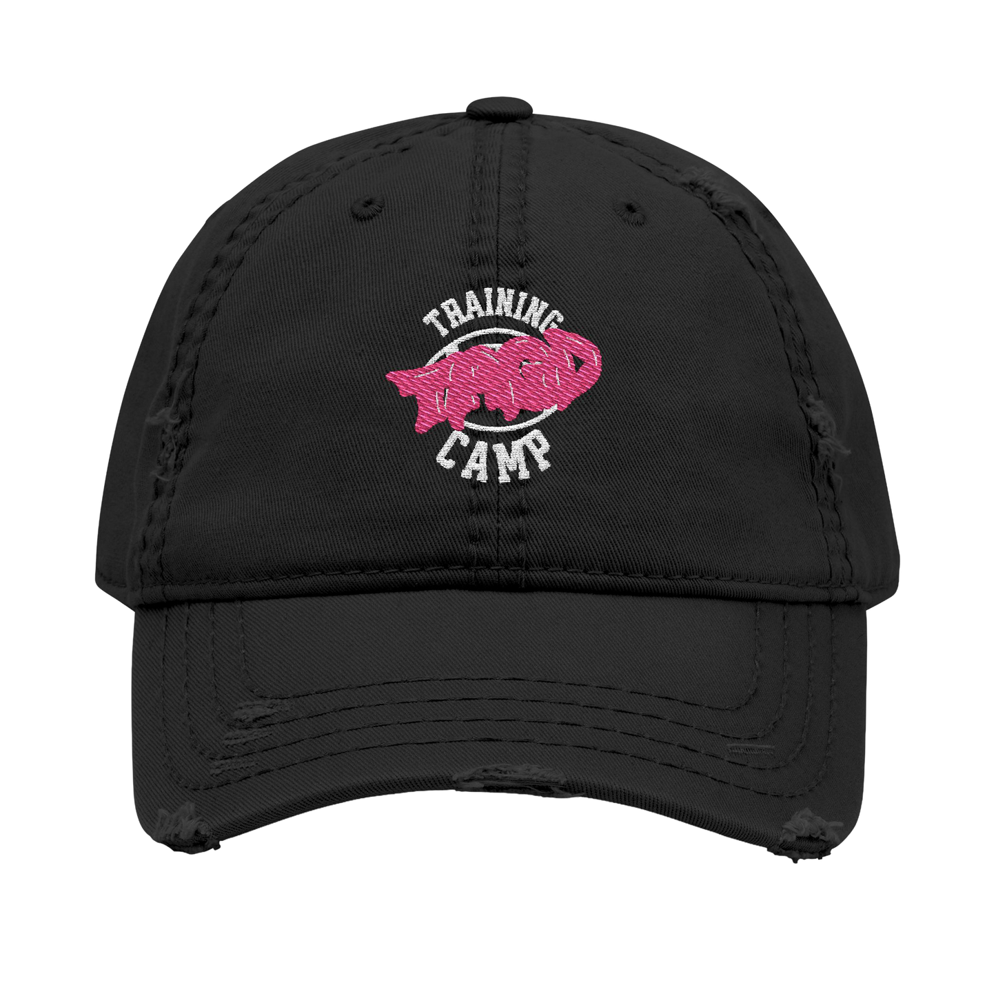 Training Camp Dad Hat