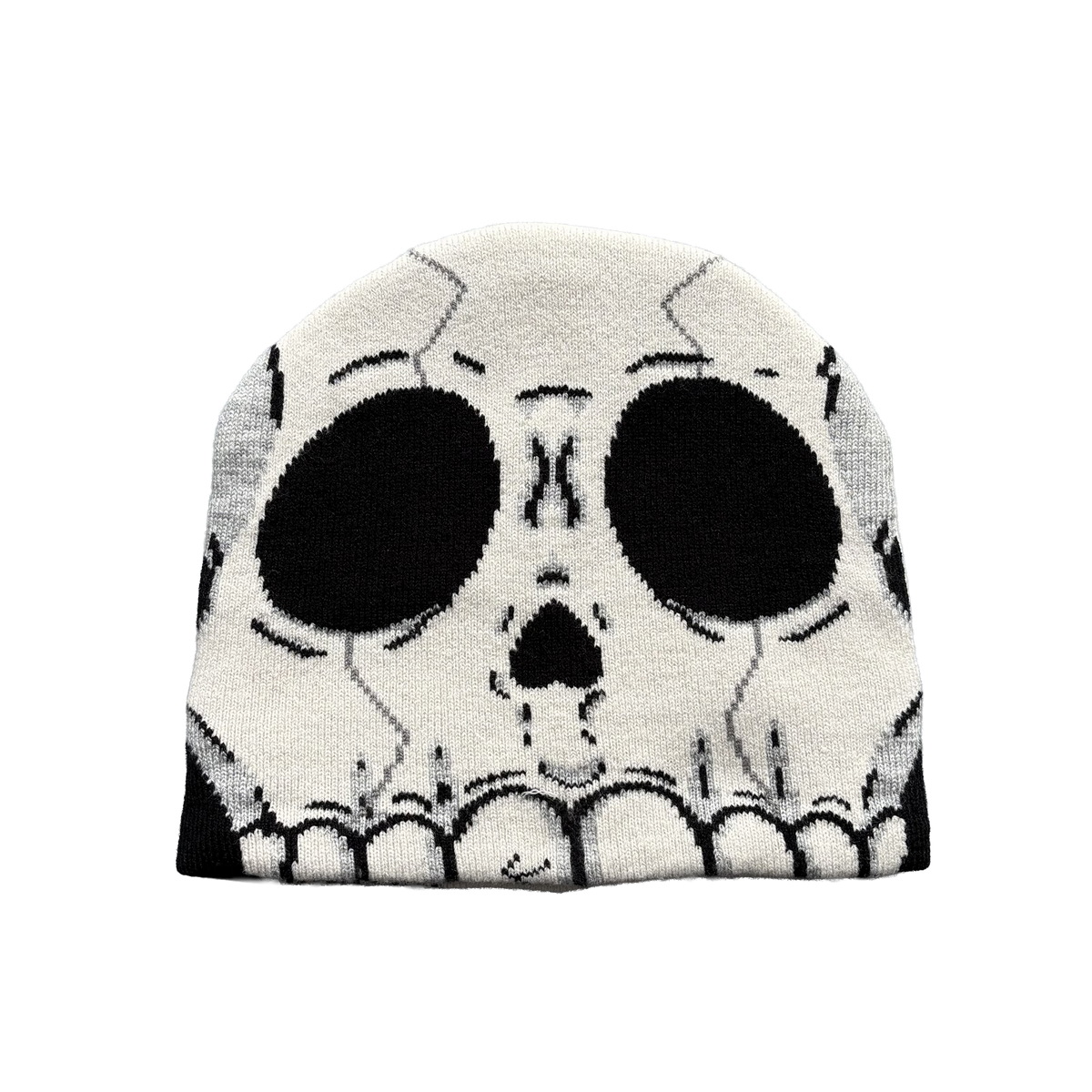 TAGD Skull Beanie Front View